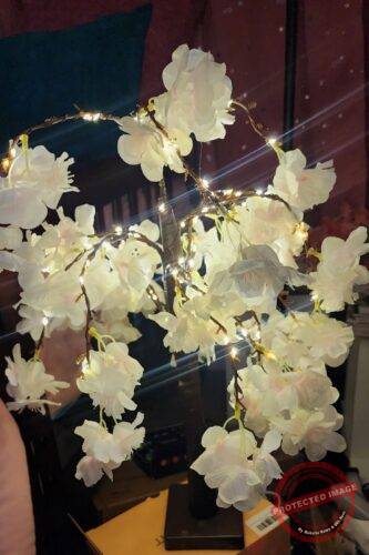 24 Inch Pink LED Cherry Blossom Tree photo review