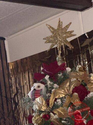 3D Silver Glitter Star Tree Topper with 56 LED Lights photo review