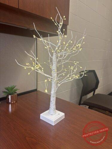 144 LED Birch Tree Lights photo review