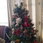 Lighted Snowflake Christmas Tree Topper photo review