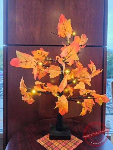 2 Pack Fall Lighted Maple Tree 48 LED Lights  photo review