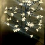 Cherry Blossom LED Tree Lamp photo review