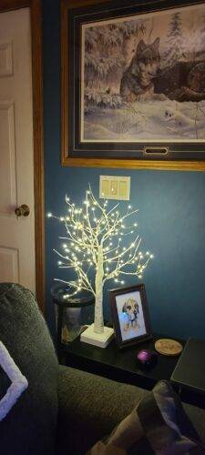 144 LED Birch Tree Lights photo review