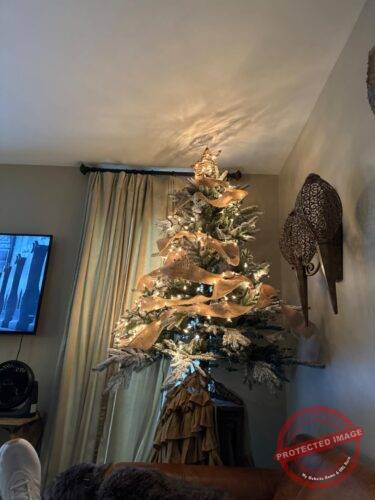 Silver Snowflake LED Tree Topper photo review