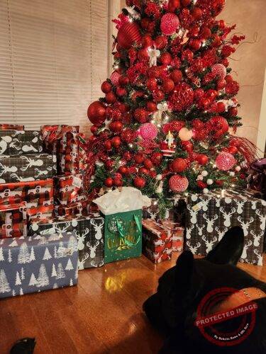 Goodnight Lights Santa tree Ornament Controller photo review