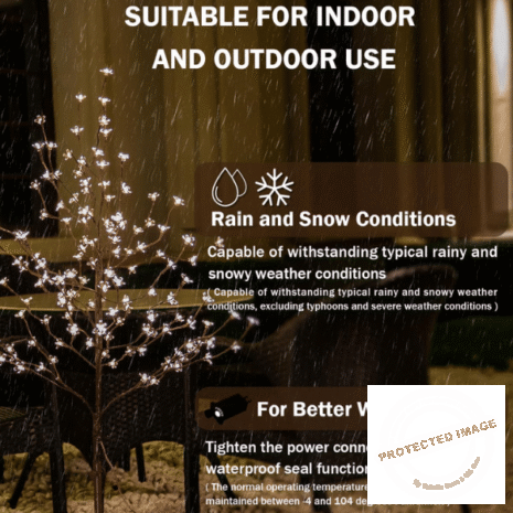 Red and White (1) Red and White (1)