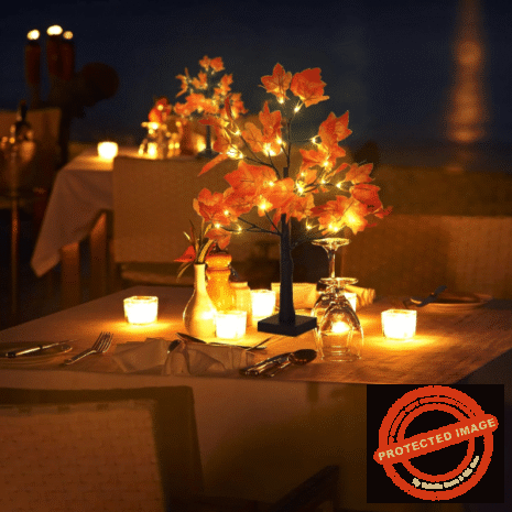 Red and White (11) Red and White (11)