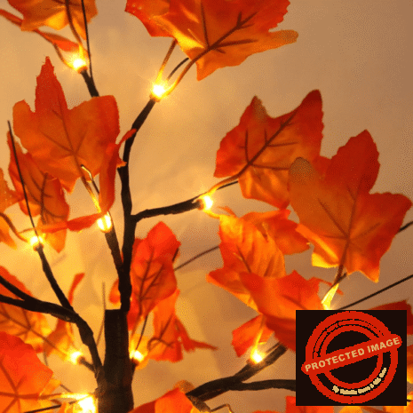 Red and White (13) Red and White (13)