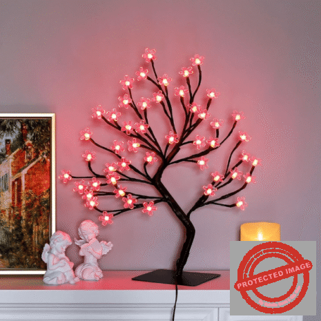 Red and White (2) Red and White (2)