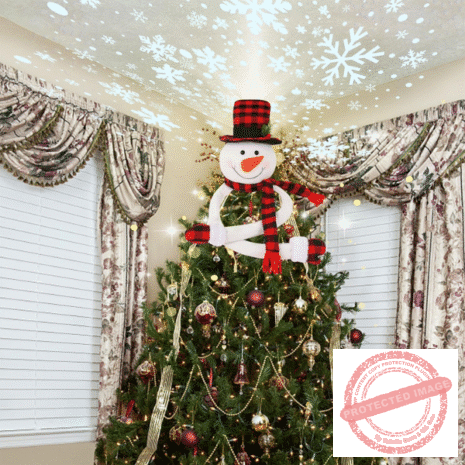 Red and White - 2025-10-16T004439.743 Red and White - 2025-10-16T004439.743