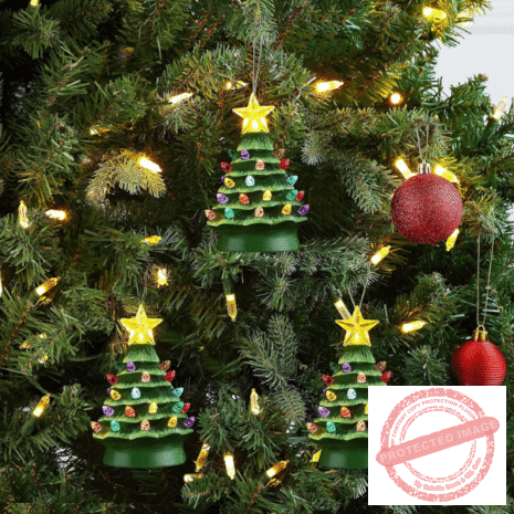 Red and White - 2025-10-18T032618.760 Red and White - 2025-10-18T032618.760