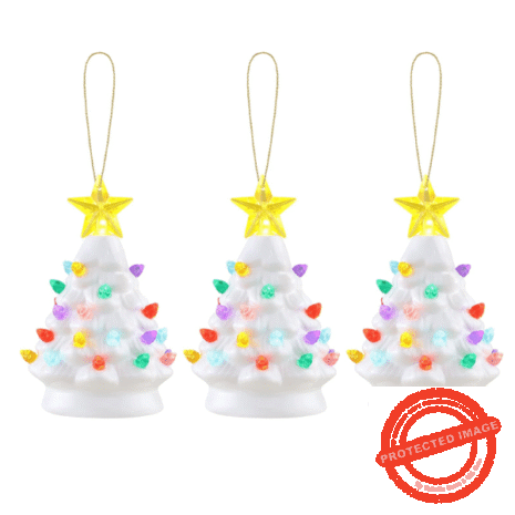 Red and White - 2025-10-18T032725.475 Red and White - 2025-10-18T032725.475