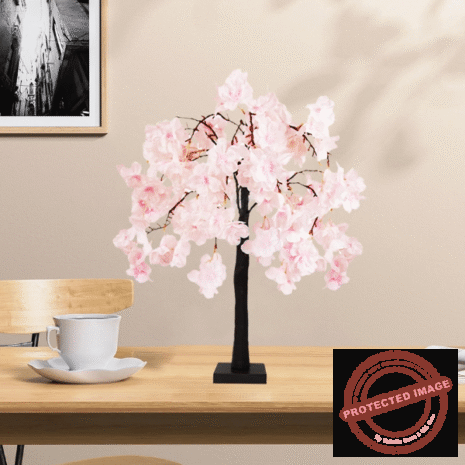 Red and White - 2025-10-19T235228.351 Red and White - 2025-10-19T235228.351