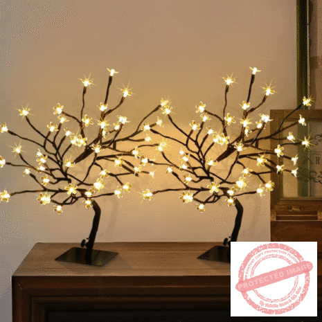 Red and White - 2025-10-20T023135.023 Red and White - 2025-10-20T023135.023