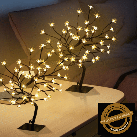 Red and White - 2025-10-20T023303.282 Red and White - 2025-10-20T023303.282