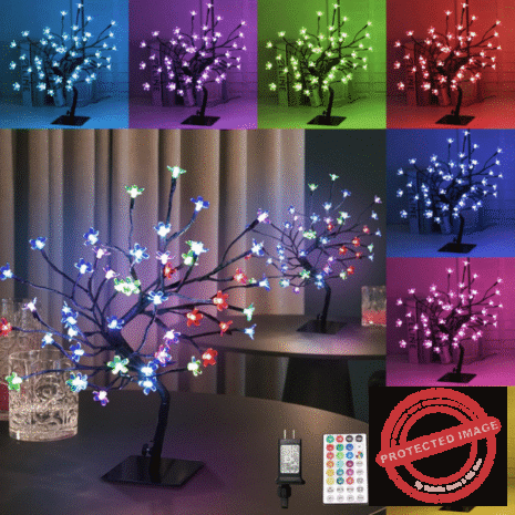 Red and White - 2025-10-20T023337.781 Red and White - 2025-10-20T023337.781