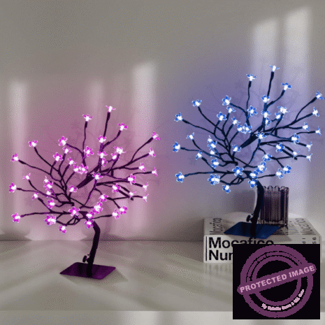 Red and White (22) Red and White (22)