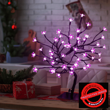 Red and White (24) Red and White (24)