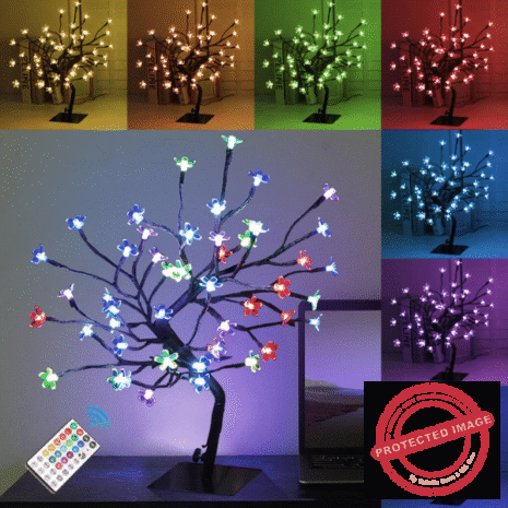 Red and White (25) Red and White (25)