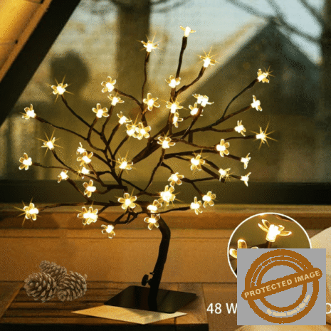 Red and White (29) Red and White (29)