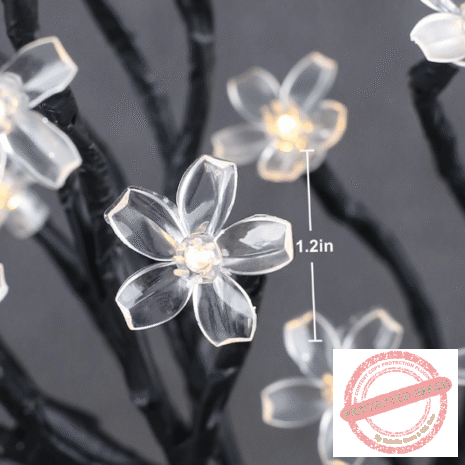 Red and White (3) Red and White (3)