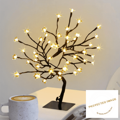 Red and White (31) Red and White (31)