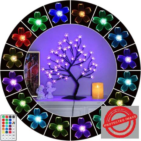 Red and White (4) Red and White (4)