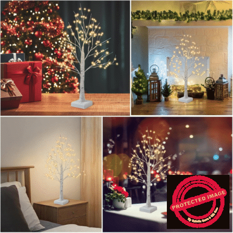 Red and White (40) Red and White (40)