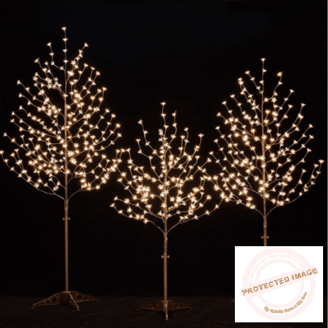 Red and White (5) Red and White (5)