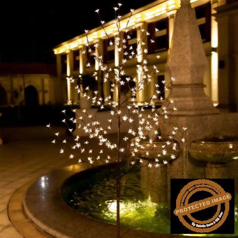 Red and White (6) Red and White (6)