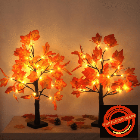 Red and White (7) Red and White (7)