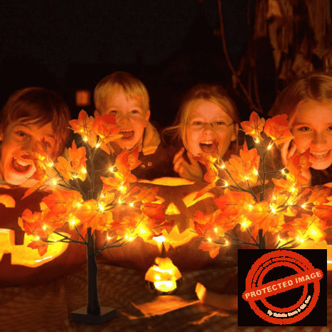 Red and White (9) Red and White (9)