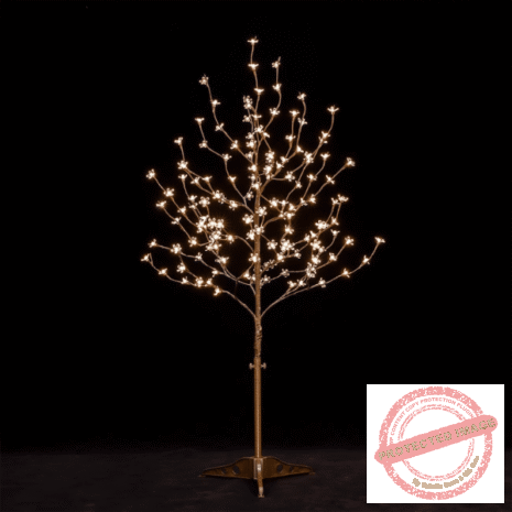 Red and White Red and White