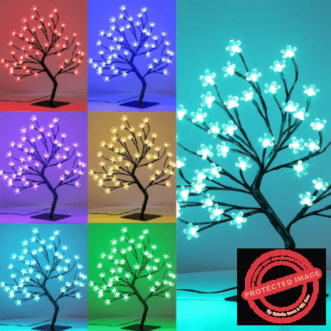 Red and White Red and White