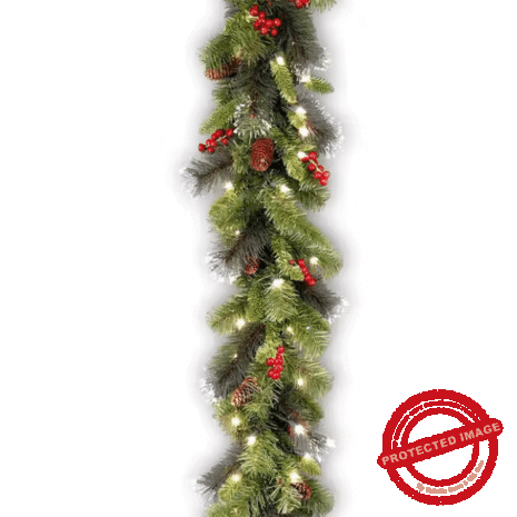 Untitled design (16) Untitled design (16)