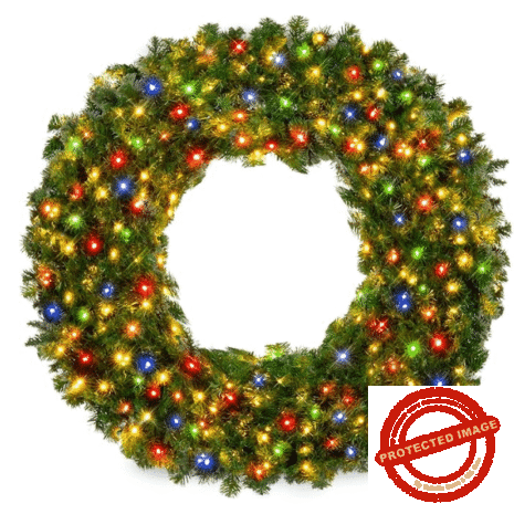 Untitled design (23) Untitled design (23)