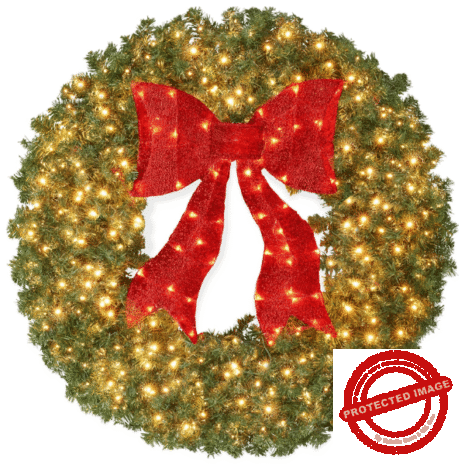 Untitled design (24)